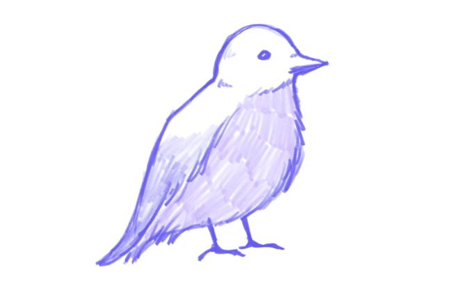 鳥の目