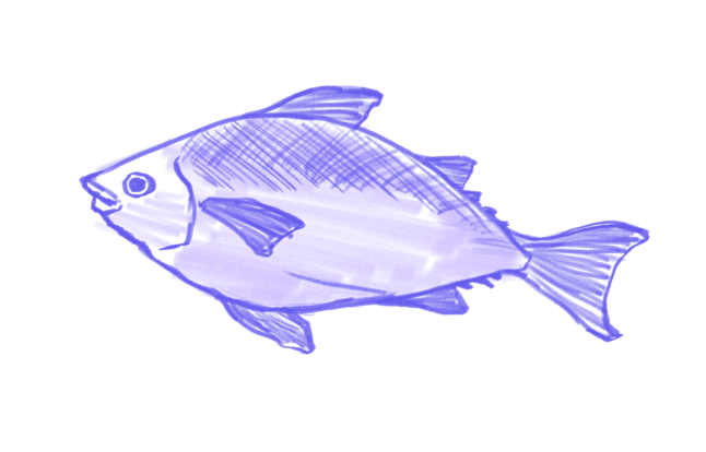 魚の目