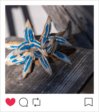 インスタグラム画像1