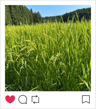 インスタグラム画像2