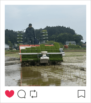 インスタグラム画像5