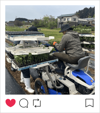 インスタグラム画像7
