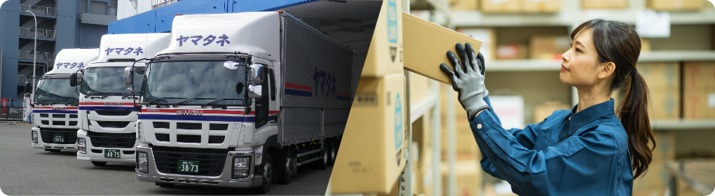 Logistics Services Company