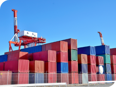 Import/Export Customs Clearance & Port Logistics