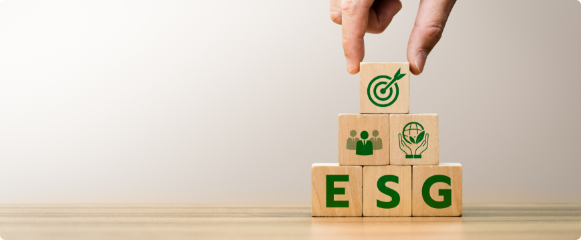 Sustainability Policy and Materiality (Important Issues)