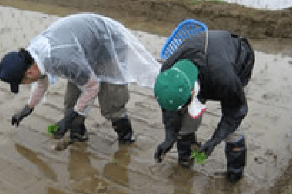 産地との交流③