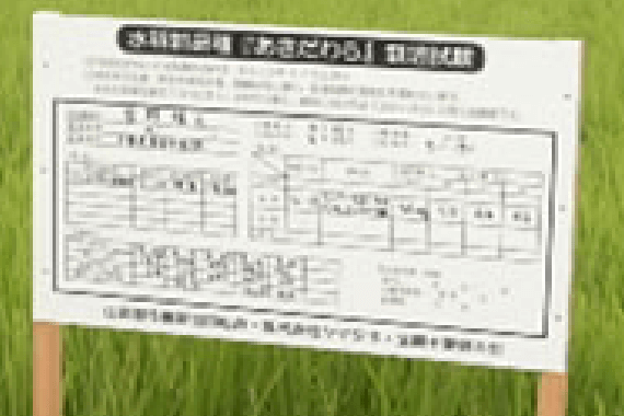 実需者と生産者のマッチングの創出①