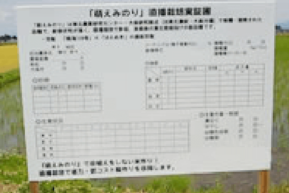 実需者と生産者のマッチングの創出②