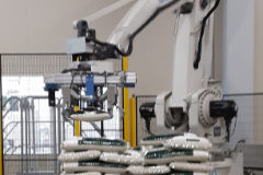  ロボットパレタイザー