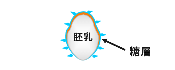 加水精米部