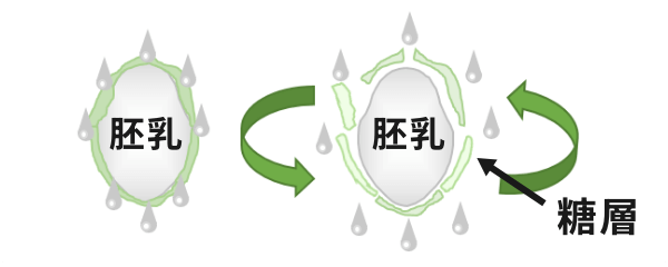 分離部
