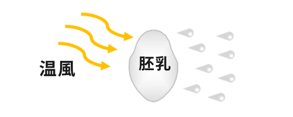乾燥部