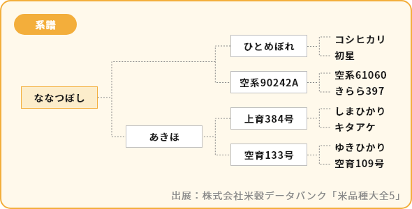 ななつぼし 系譜図