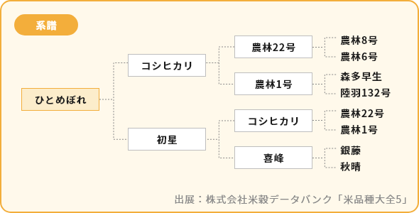 ひとめぼれ 系譜図