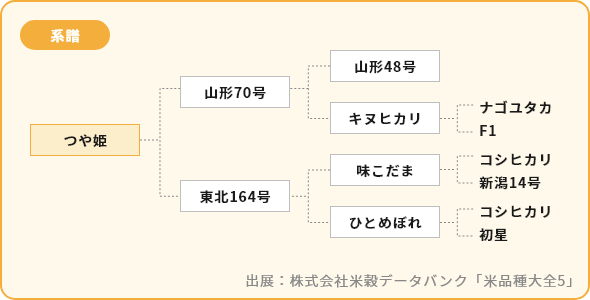 つや姫 系譜図