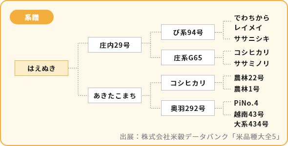 はえぬき 系譜図