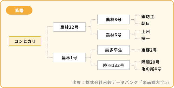 コシヒカリ 系譜図