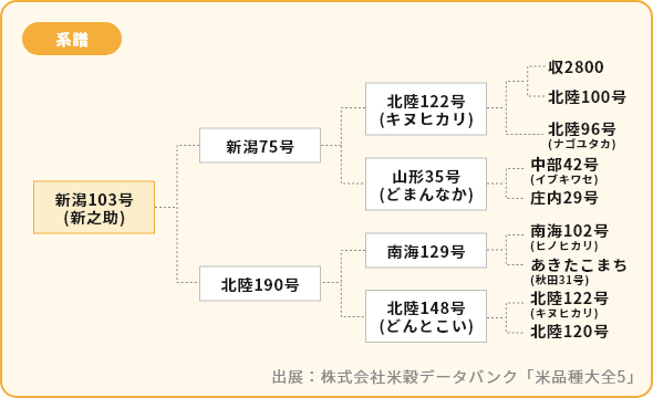 新之助 系譜図