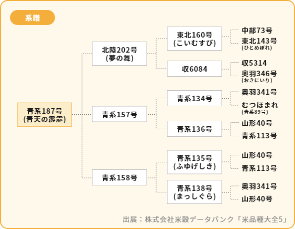 青天の霹靂 系譜図