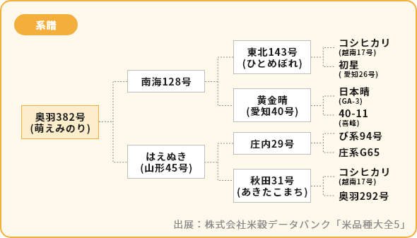 萌えみのり 系譜図