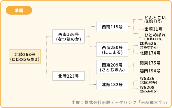 にじのきらめき 系譜図