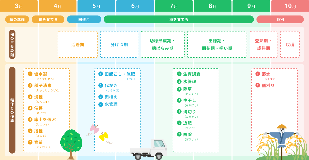 お米の作り方 イメージ図