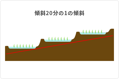 傾斜1/20の段々畑に水田が配置された水の流れを示す断面図