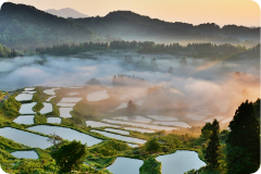 ©（一社）十日町市観光協会