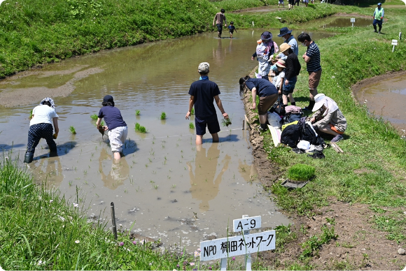 認定NPO法人棚田ネットワークの画像