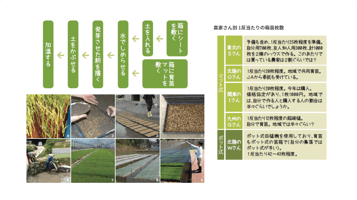 1・2：籾を播いた苗箱／3：もう一度土を覆せる／4：芽が出ました／5：毎日水をしっかりと／6：田んぼに並ぶ苗箱／7：ビニールハウスで育苗／8：田植機に苗をセットする