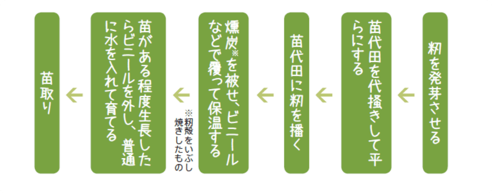 苗取りまでの苗代づくり工程を示すフロー図（発芽から燻炭による保温、育苗までの流れ）