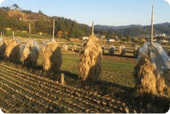 杭掛け（東北地方）