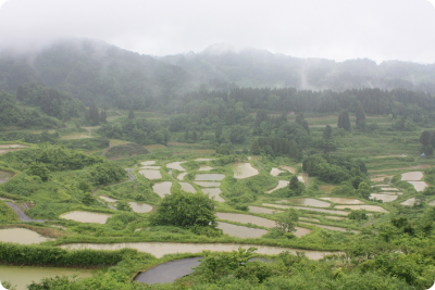 棚田の画像