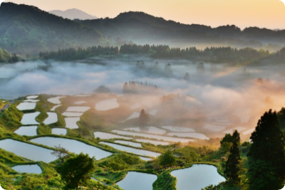 ©（一社）十日町市観光協会