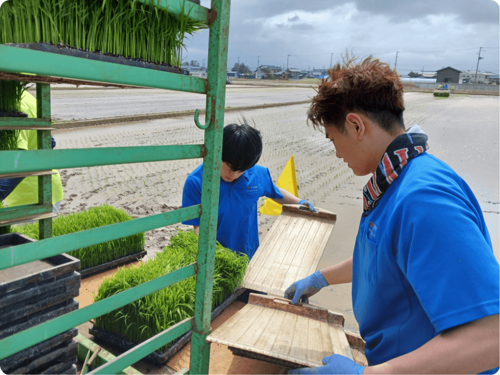 田植え、稲刈り研修