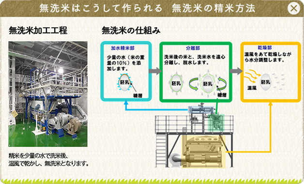 無洗米はこうして作られる