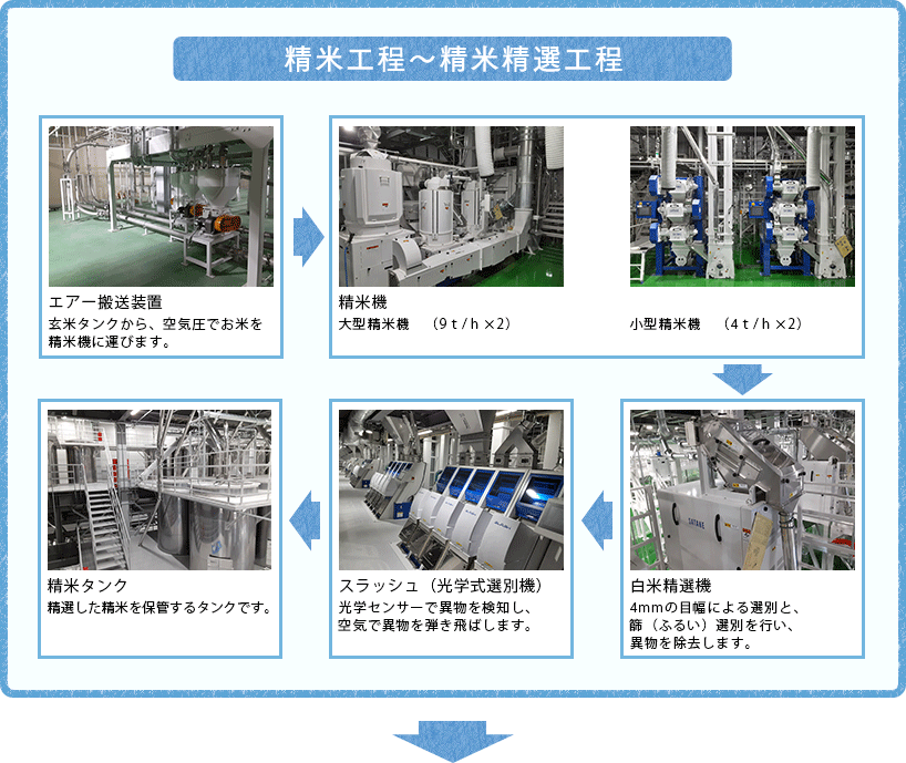 [精米工程～精米精選工程]