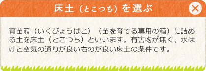 [床土（とこつち）を選ぶ]育苗箱（いくびょうばこ）（苗を育てる専用の箱）に詰める土を床土（とこつち）といいます。有害物が無く、水はけと空気の通りが良いものが良い床土の条件です。