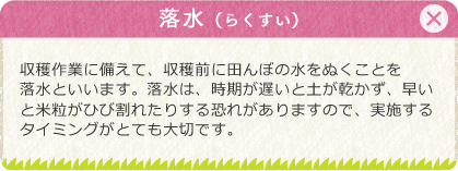 [落水（らくすい）]収穫作業に備えて、収穫前に田んぼの水をぬくことを落水といいます。落水は、時期が遅いと土が乾かず、早いと米粒がひび割れたりする恐れがありますので、実施するタイミングがとても大切です。