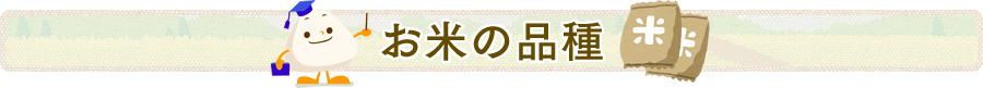 お米の品種