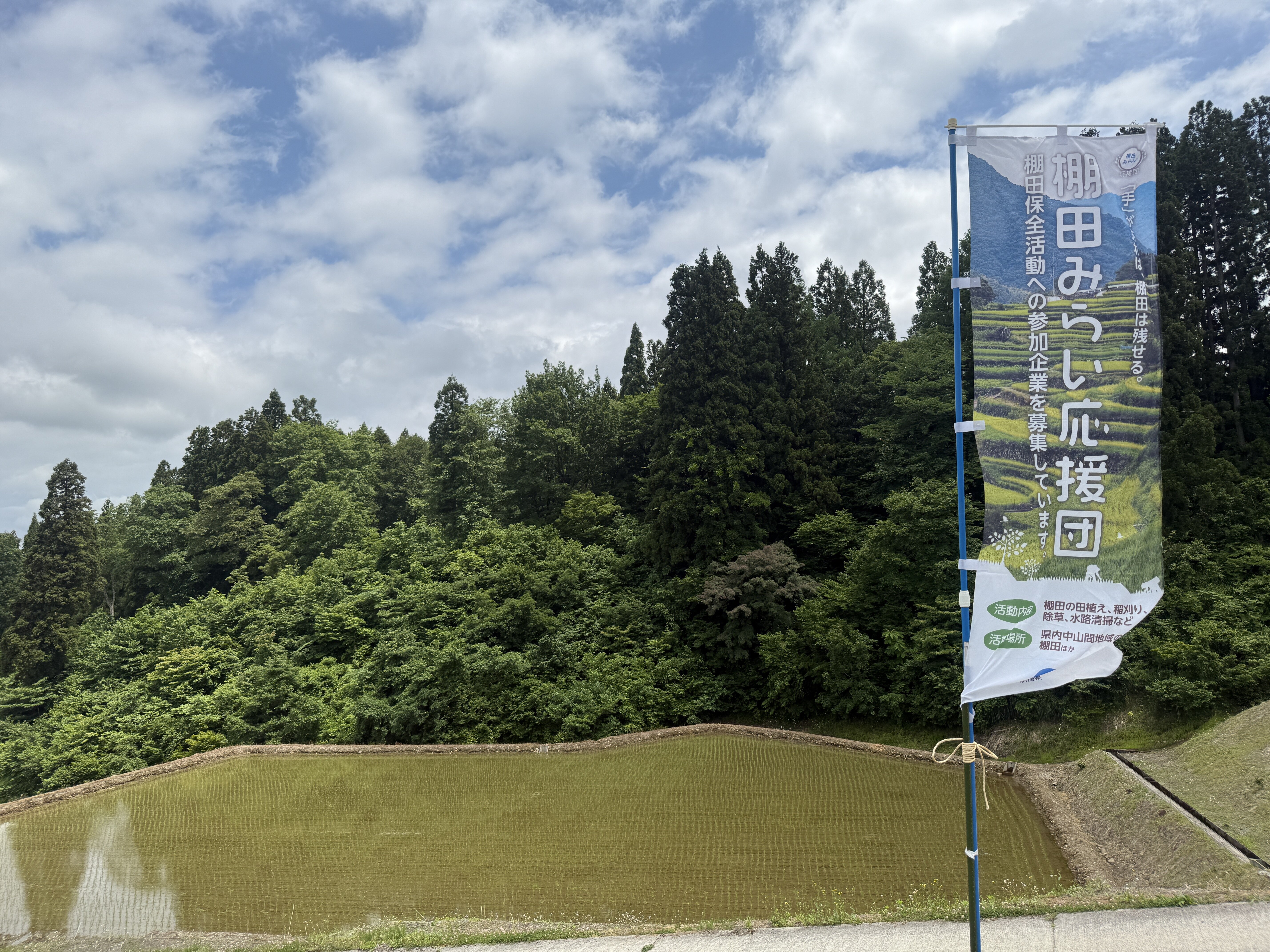 棚田みらい応援団の一員として、田植え体験に参加しました！