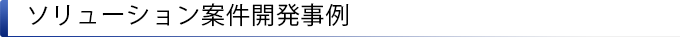ソリューション案件開発事例